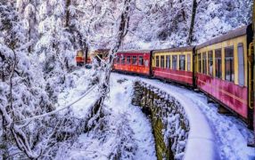 Shimla Taxi Tour